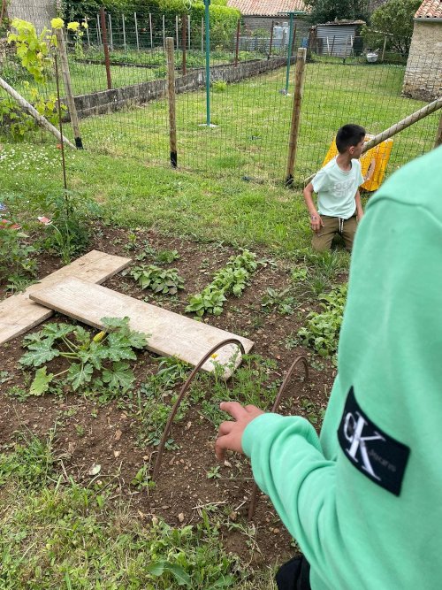 étude d'un potager